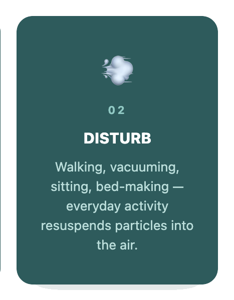 02-disturb-green