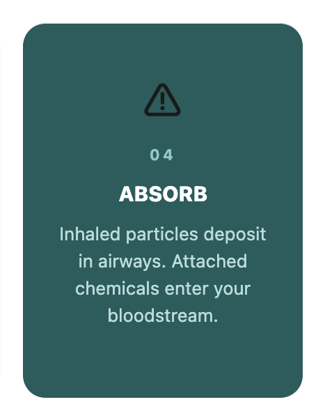 04-absorb-green